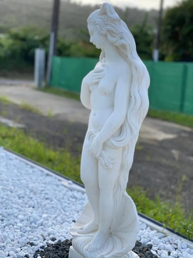 Les Tresors De Laurelia Villa Gourbeyre
